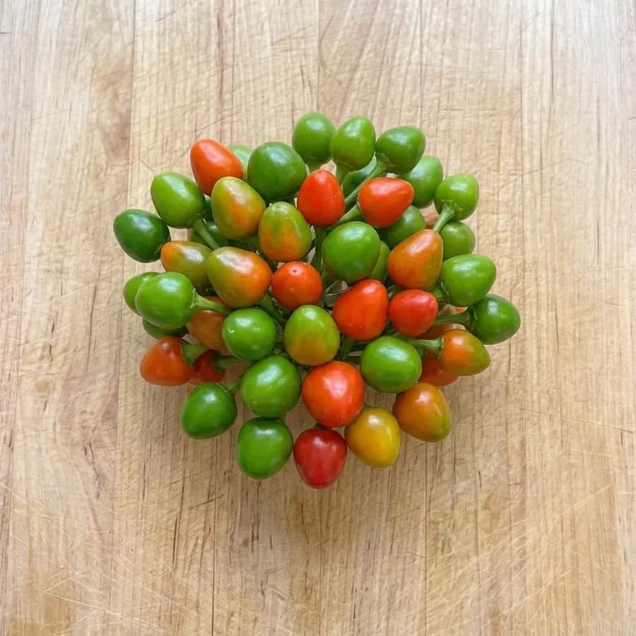 Dalle Khursani (Akabare Khursani) - 1kg
